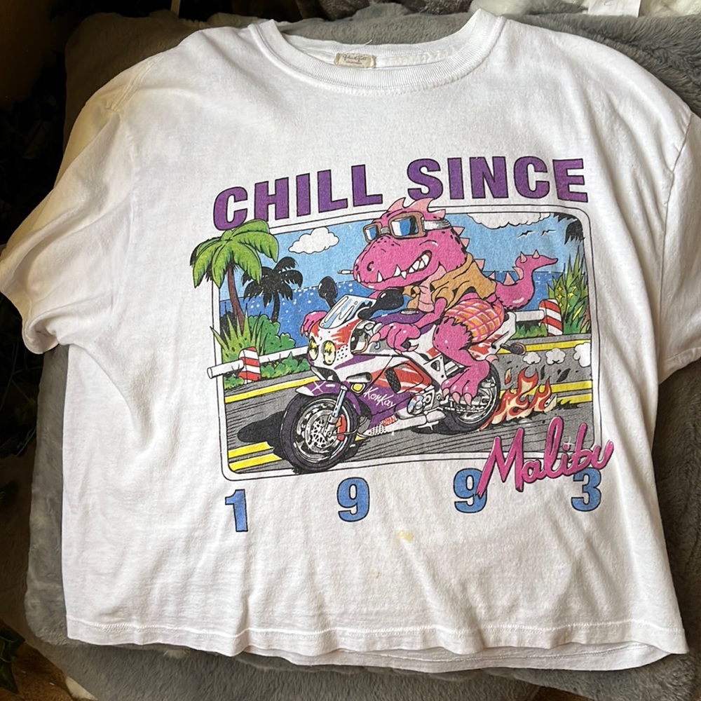 Chill since 1993 t-shirt